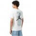 Футболка мужская Jordan Brand Short-Sleeve Jumpman (FN6029-100)