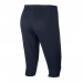Nike Dry Academy 18 3/4 451