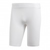 adidas Alphaskin Sprt Tight Shorty 184