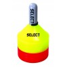 SELECT Marker set 24 psc