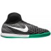 Nike MagistaX Proximo II DF IC 002