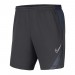 Шорты спортивные Nike Dry Academy Pro BV6924-066