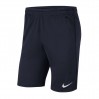 Шорты мужские Nike Dri-FIT Park 20 451 (CW6152-451)