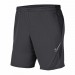 Шорты спортивные Nike Dry Academy Pro BV6924-061