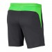 Шорты спортивные Nike Dry Academy Pro BV6924-064