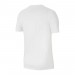 Футболка чоловіча Nike Dri-Fit Park 20 M (CW6952-100)