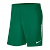 Ігрові футбольні шорти Nike VaporKnit III BV6852-302