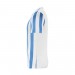 Игровая футболка Nike Striped Division IV Jersey CW3813-103 цвет: белый-голубой