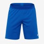 Шорты Nike Vapor Knit II Short AQ2685-463