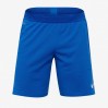 Шорти Nike Vapor Knit II Short AQ2685-463