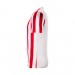 Игровая футболка Nike Striped Division IV Jersey CW3813-104 цвет: белый-красный
