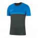Тренувальна футболка Nike Academy Pro Top SS t-shirt 075