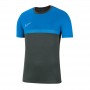 Тренувальна футболка Nike Academy Pro Top SS t-shirt 075