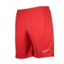 Шорти Nike Dry Academy 21 CW6107-657