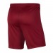 Ігрові футбольні шорти Nike Dry Park III BV6855-677 колір: бордовий