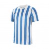 Игровая футболка Nike Striped Division IV Jersey CW3813-103 цвет: белый-голубой