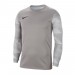 Вратарская кофта Nike Dry Park IV CJ6066-052 цвет: серый