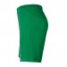 Ігрові футбольні шорти Nike Dry Park III BV6855-302 колір: зелений