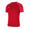 Ігрова футболка Nike Dri-FIT Strike II t-shirt CW3544-657