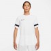 Nike Dri-FIT Academy 21 t-shirt 100