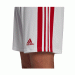 Ігрові футбольні шорти adidas Squadra 21 770