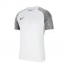 Игровая футболка Nike Dri-FIT Strike II CW3544-100 цвет: белый
