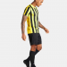 Nike Striped Division IV Jersey S/S CW3813-719