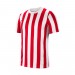 Игровая футболка Nike Striped Division IV Jersey CW3813-104 цвет: белый-красный