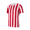 Игровая футболка Nike Striped Division IV Jersey CW3813-104 цвет: белый-красный