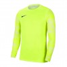 Вратарская кофта Nike Dry Park IV CJ6066-702 цвет: салатовый