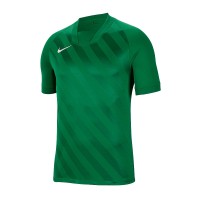Ігрова футболка Nike Challenge III t-shirt 302 колір: зелений