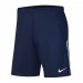 Ігрові футбольні шорти Nike League Knit II BV6852-410