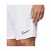 Шорти Nike Dry Academy 21 CW6107-100