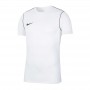 Футболка тренировочная Nike Park 20 BV6883-100
