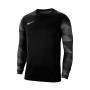 Вратарская кофта Nike Dry Park IV CJ6066-010 цвет: черный