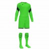 Вратарский комплект Joma ZAMORA V 101477.020 цвет: зеленый/черный