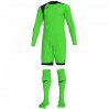 Вратарский комплект Joma ZAMORA IV 101300.021 с гетрами цвет: салатовый