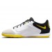 Футзалки Nike Tiempo Legend 9 Academy IC DA1190-107