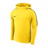 Nike Dry Academy 18 Hoodie 719