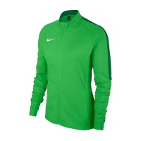 Кофта женская Nike Womens Academy 18 Training 361