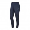 Штаны женские Nike Womens Dry Academy 18 451