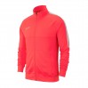 Тренировочная кофта Nike Dry Academy 19 цвет: коралловый