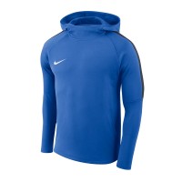 Nike Dry Academy 18 Hoodie 463