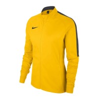 Кофта женская Nike Womens Academy 18 Training 719